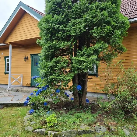 Leilighet Hausvikstranda Lyngdal