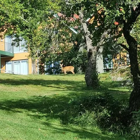 Hausvikstranda Daire *